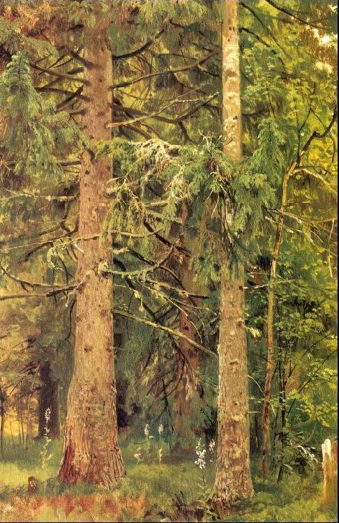 Ivan Shishkin Fir Forest China oil painting art